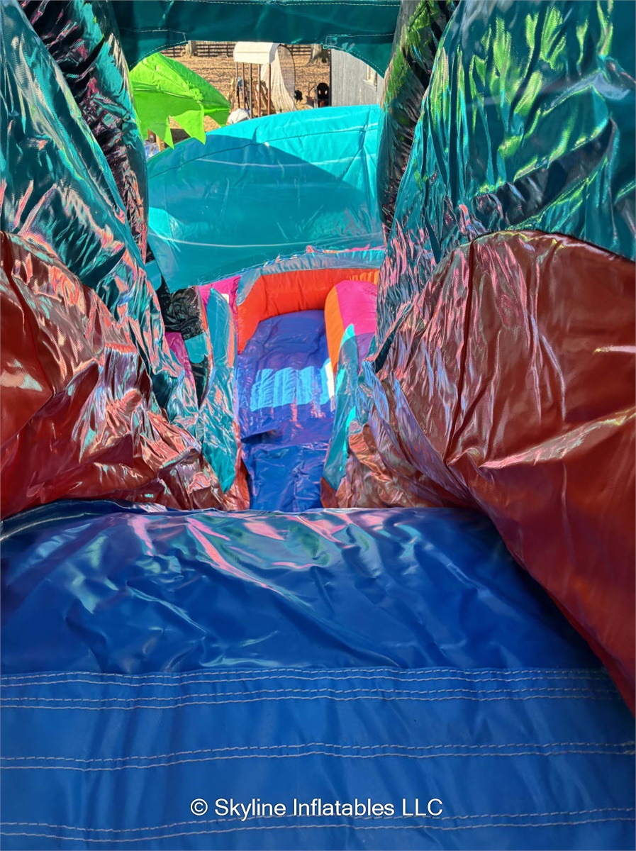 Electric Island Dual Lane 3D XL Combo Bounce House - Bounce House ...