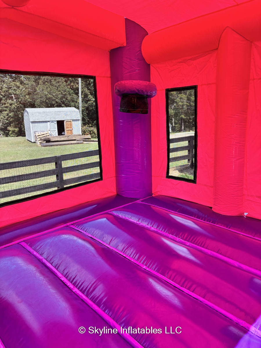 Princess Castle Dual Lane XL Combo Bounce House - Bounce House Rentals ...